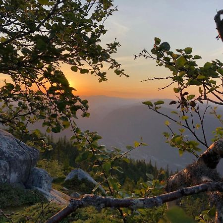 Dalen I Telemark Holiday Home With Garden Εξωτερικό φωτογραφία