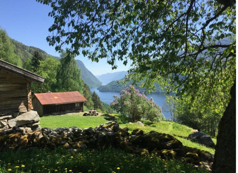 Dalen I Telemark Holiday Home With Garden Εξωτερικό φωτογραφία