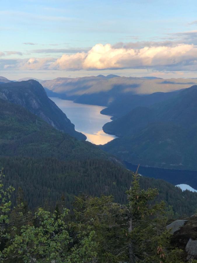 Dalen I Telemark Holiday Home With Garden Εξωτερικό φωτογραφία