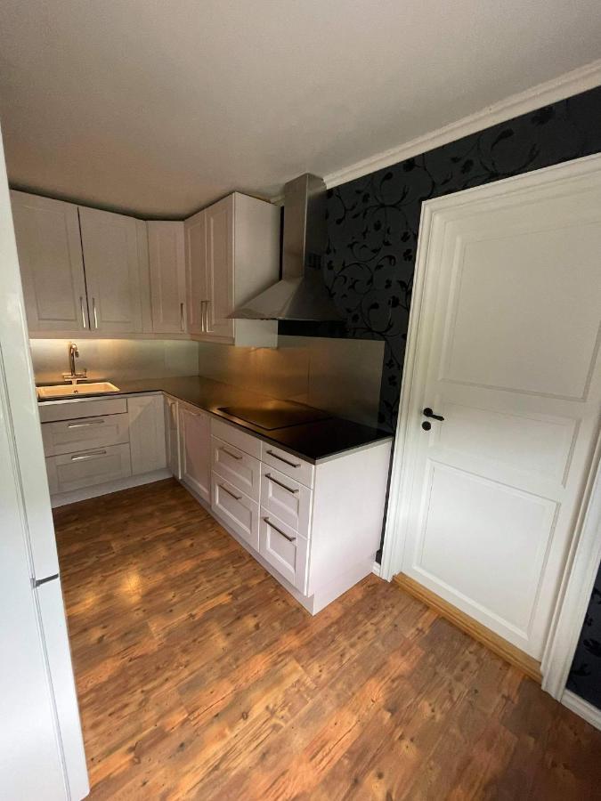 Dalen I Telemark Holiday Home With Garden Εξωτερικό φωτογραφία