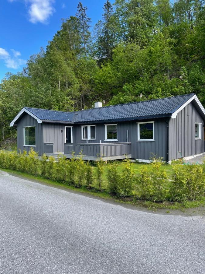 Dalen I Telemark Holiday Home With Garden Εξωτερικό φωτογραφία